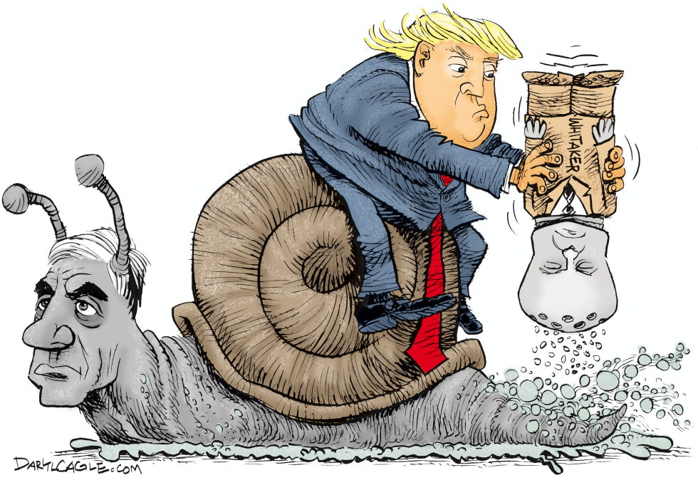  TRUMP MUELLER AND WHITAKER by Daryl Cagle