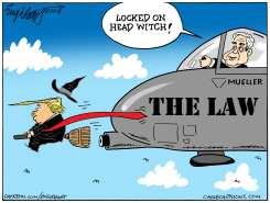 MUELLER INVESTIGATION by Bob Englehart