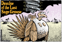 SAGE GROUSE MURDER by Wolverton