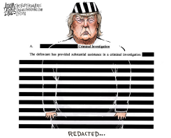 FEDERAL COURT FILINGS by Adam Zyglis