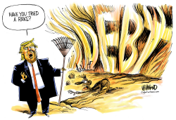 TRUMP RAKE AND DEBT FIRE by Dave Whamond