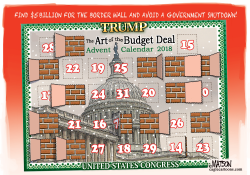 TRUMP BORDER WALL ADVENT CALENDAR by RJ Matson