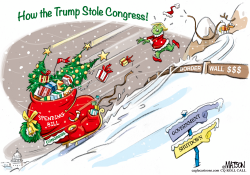 TRUMP THE GRINCH by RJ Matson