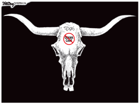 TEXAS OBAMACARE by Bill Day