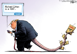 THE BIG RAT by Nate Beeler