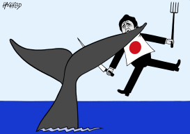 JAPAN STARTSCOMMERCI- AL WHALE HUNTING by Rainer Hachfeld