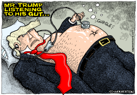 MR TRUMP LISTENING TO HIS GUT by Wolverton