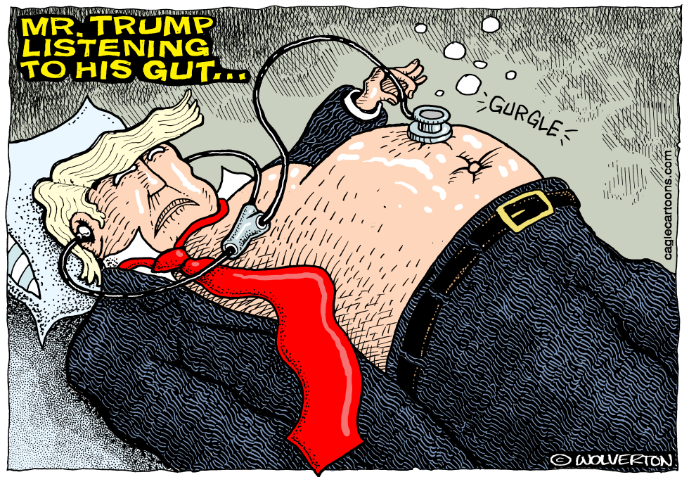  MR TRUMP LISTENING TO HIS GUT by Wolverton