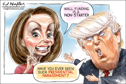 PELOSI HARASS TRUMP by Ed Wexler