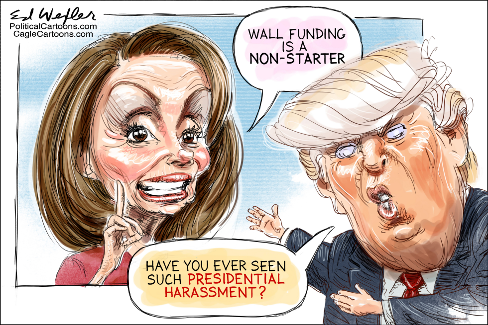  PELOSI HARASS TRUMP by Ed Wexler