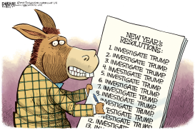 DEMOCRAT RESOLUTIONS by Rick McKee