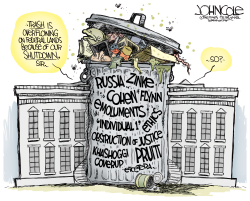 SHUTDOWN GARBAGE by John Cole