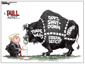 A BULL MARKET by Bill Day