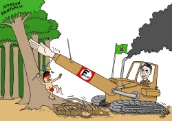 BOLSONARO AND THE RAINFOREST by Stephane Peray