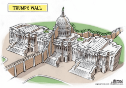 TRUMP WALL DIVIDES CONGRESS by RJ Matson