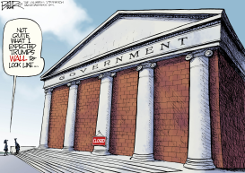 GOVERNMENT WALL by Nate Beeler