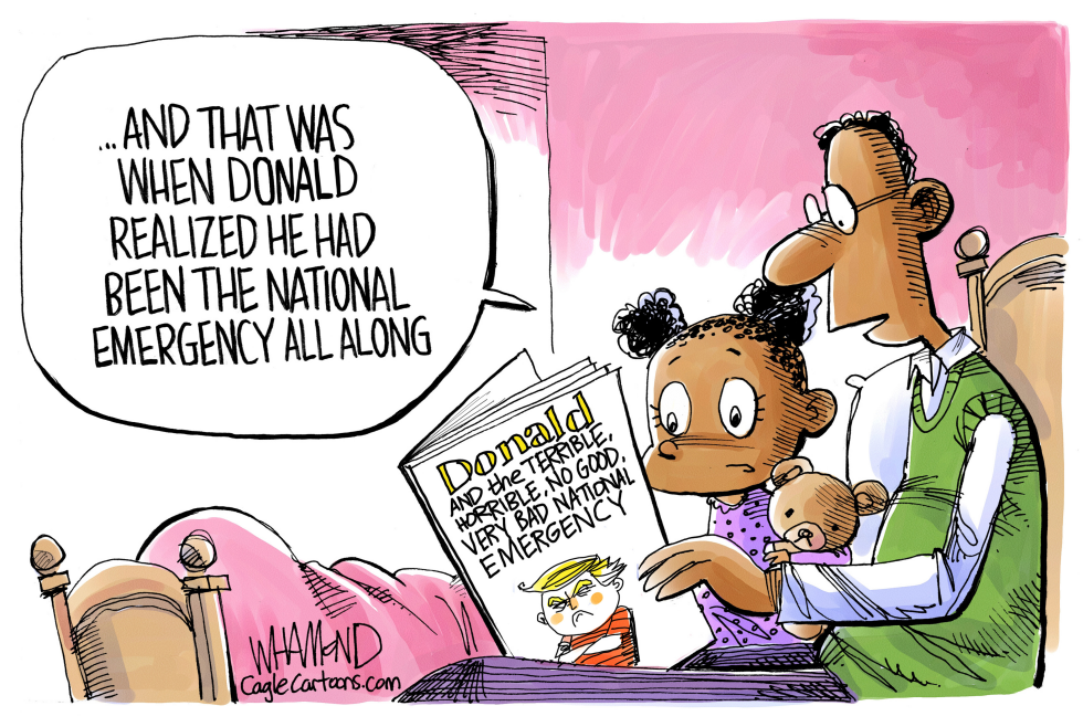  NATIONAL EMERGENCY by Dave Whamond