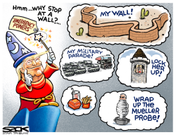 EMERGENCY POWERS by Steve Sack