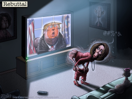 TRUMP PELOSI by Sean Delonas