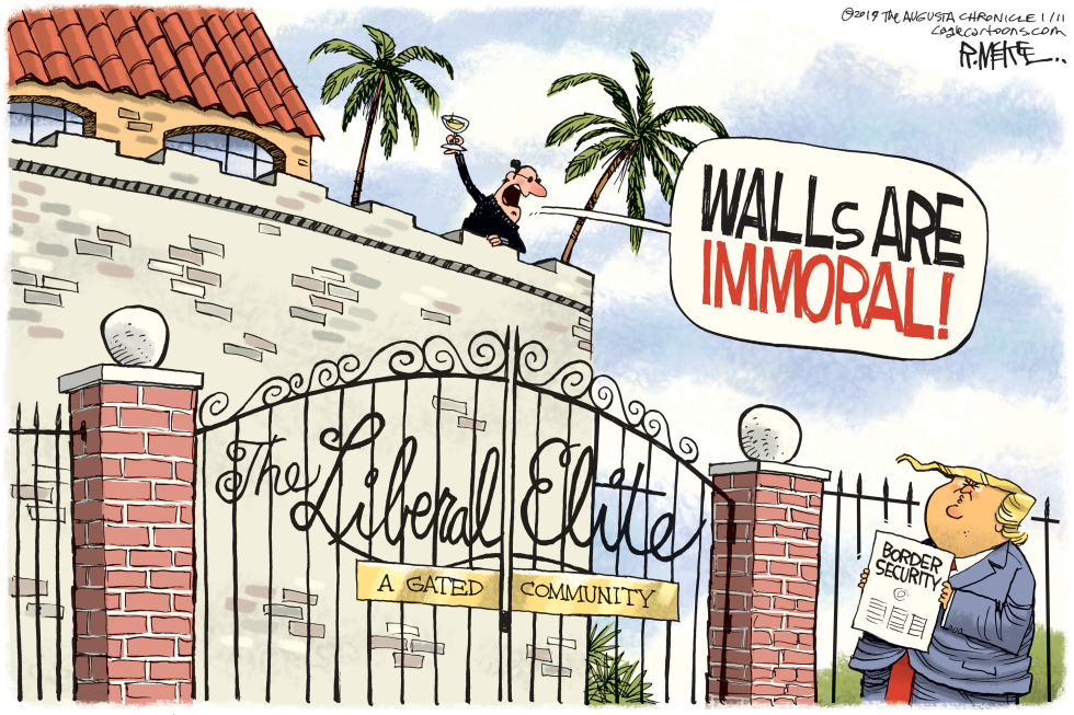  IMMORAL WALLS by Rick McKee