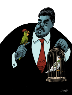 MADURO´S REELECTION by Dario Castillejos