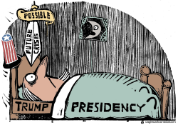 TRUMP PRESIDENCY by Randall Enos