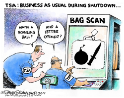 TSA DURING GOV'T SHUTDOWN by Dave Granlund