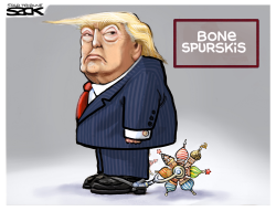 PRESIDENT’S SPURS by Steve Sack