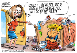 PELOSI'S HOUSE by Dave Whamond