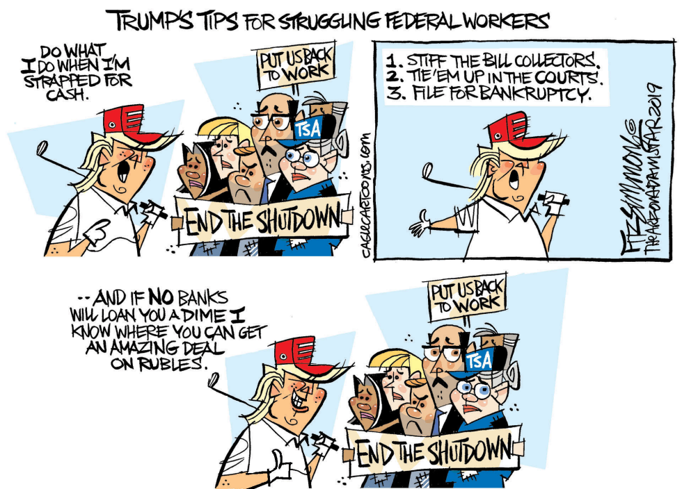  SHUTDOWN SYMPATHY by David Fitzsimmons