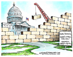 PELOSI VS TRUMP FEUD by Dave Granlund