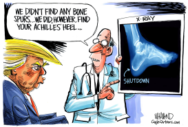 TRUMP'S ACHILLES' HEEL by Dave Whamond