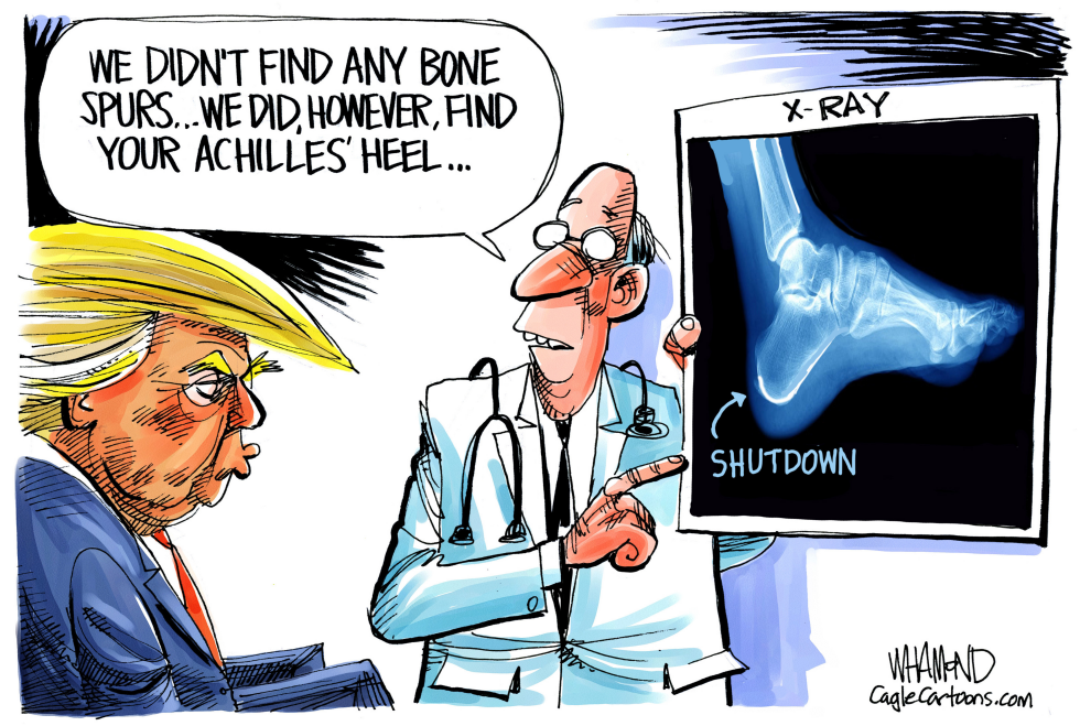  TRUMP'S ACHILLES' HEEL by Dave Whamond