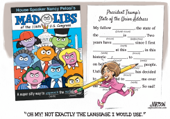 NANCY PELOSI MAD LIBS by RJ Matson