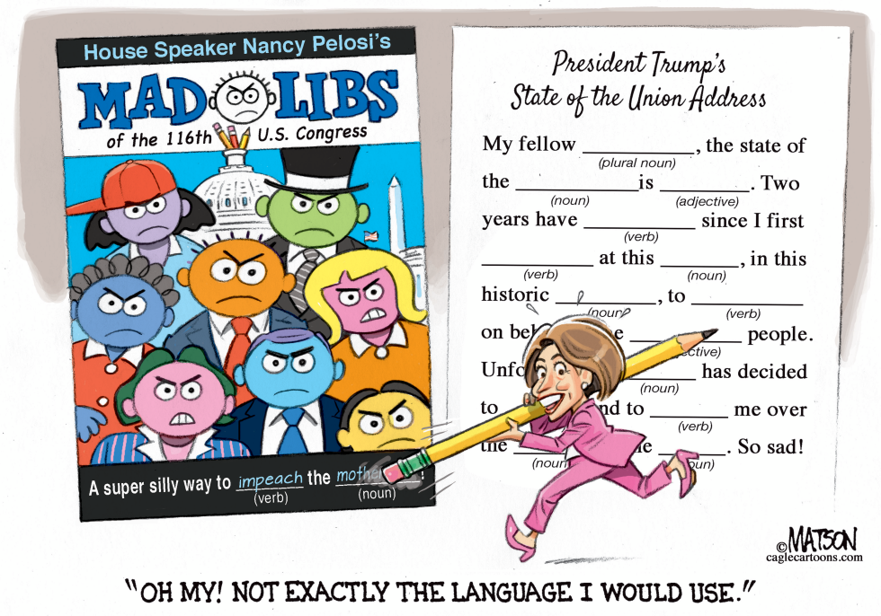  NANCY PELOSI MAD LIBS by RJ Matson