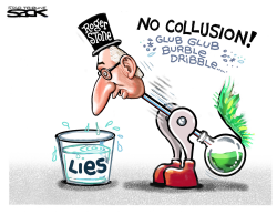 STONE LIES by Steve Sack