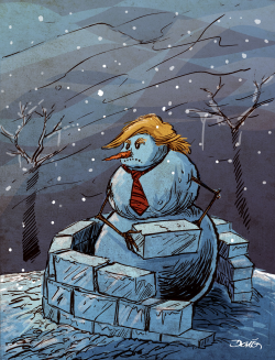 POLAR VORTEX TRUMP AND WALL by Dario Castillejos