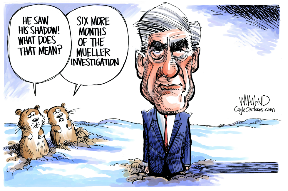  MUELLER DAY by Dave Whamond