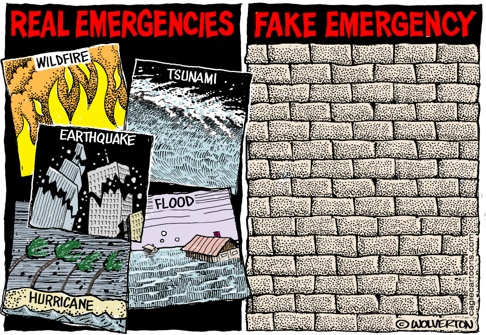  FAKE EMERGENCY WALL by Wolverton