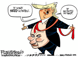 TRUMPS GUT AND PUTIN by David Fitzsimmons