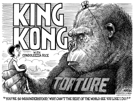 MISUNDERSTOOD U.S. TORTURE POLICY by RJ Matson