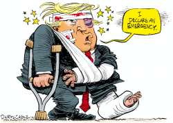 TRUMP DECLARES EMERGENCY by Daryl Cagle