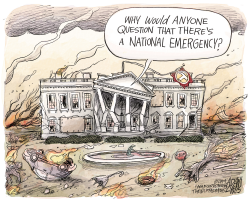 POLITICAL EMERGENCY by Adam Zyglis