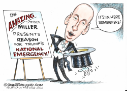 NATIONAL EMERGENCY by Dave Granlund