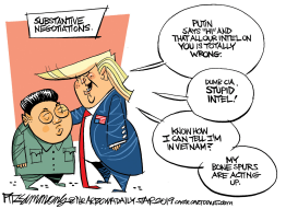 NORTH KOREA AND TRUMP IN VIETNAM by David Fitzsimmons