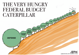 FEDERAL BUDGET CATERPILLAR by RJ Matson