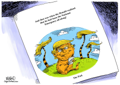 TRUMP EMERGENCY by Dave Whamond