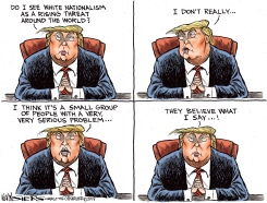 TRUMP AND WHITE NATIONALISM by Kevin Siers