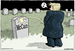 TRUMP ON MCCAIN by Wolverton