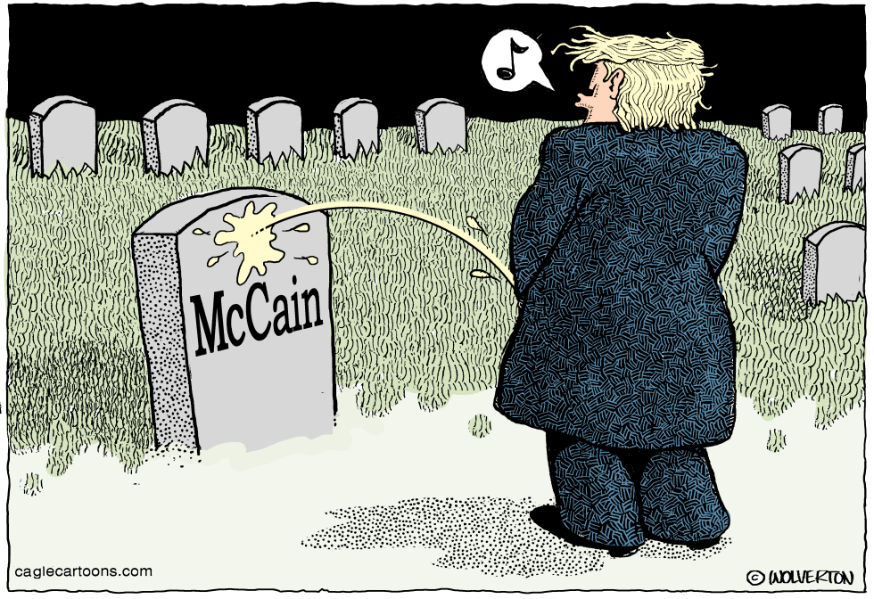  TRUMP ON MCCAIN by Wolverton